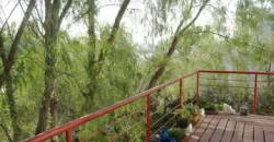 COLINA