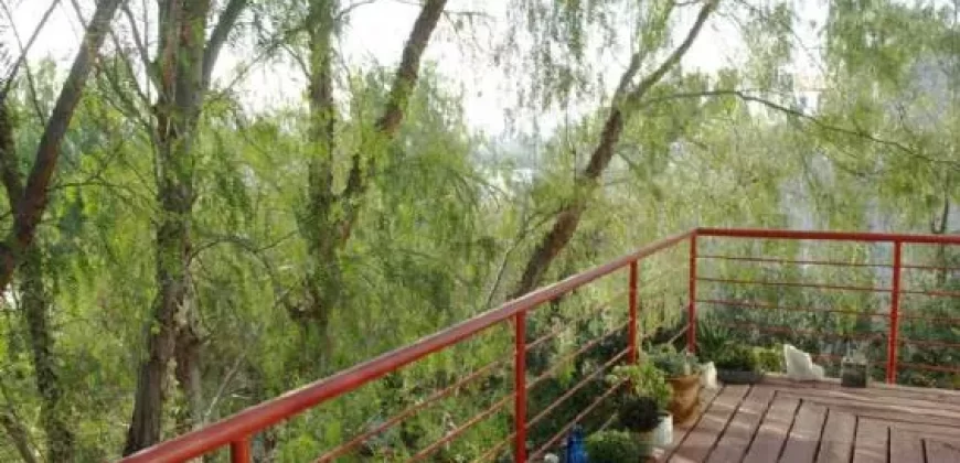 COLINA