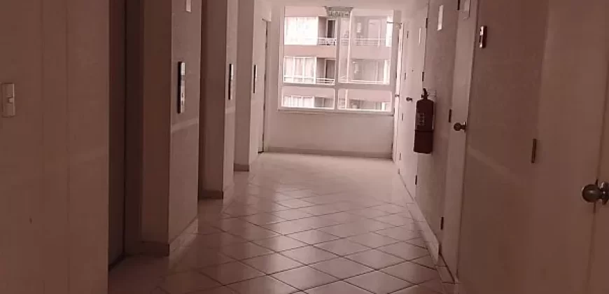 SAN MIGUEL