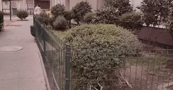 SAN MIGUEL