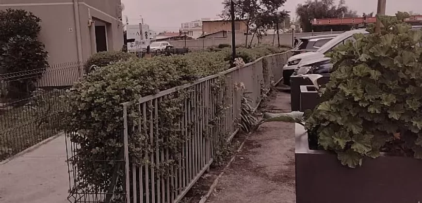 SAN MIGUEL