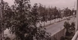 SAN MIGUEL