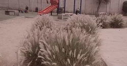SAN MIGUEL