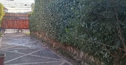MAIPÚ