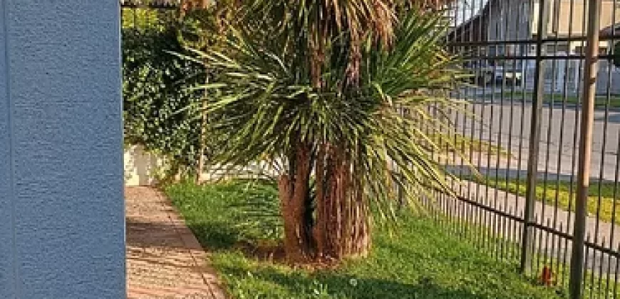 MAIPÚ